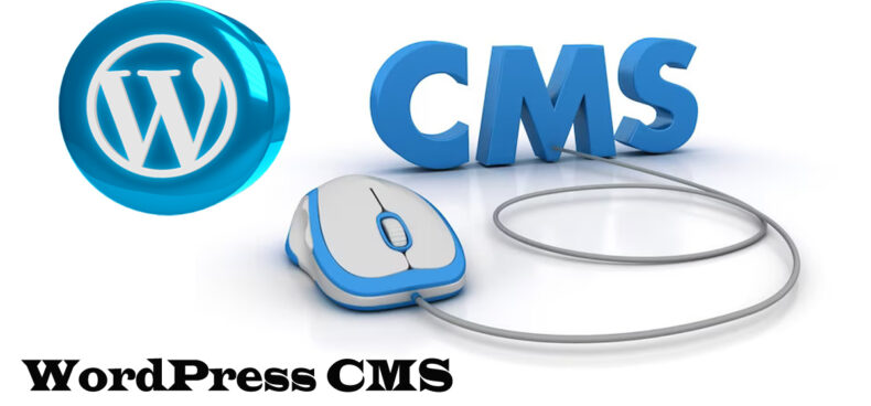 WordPress CMS