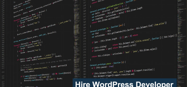 hire a wordPress developer