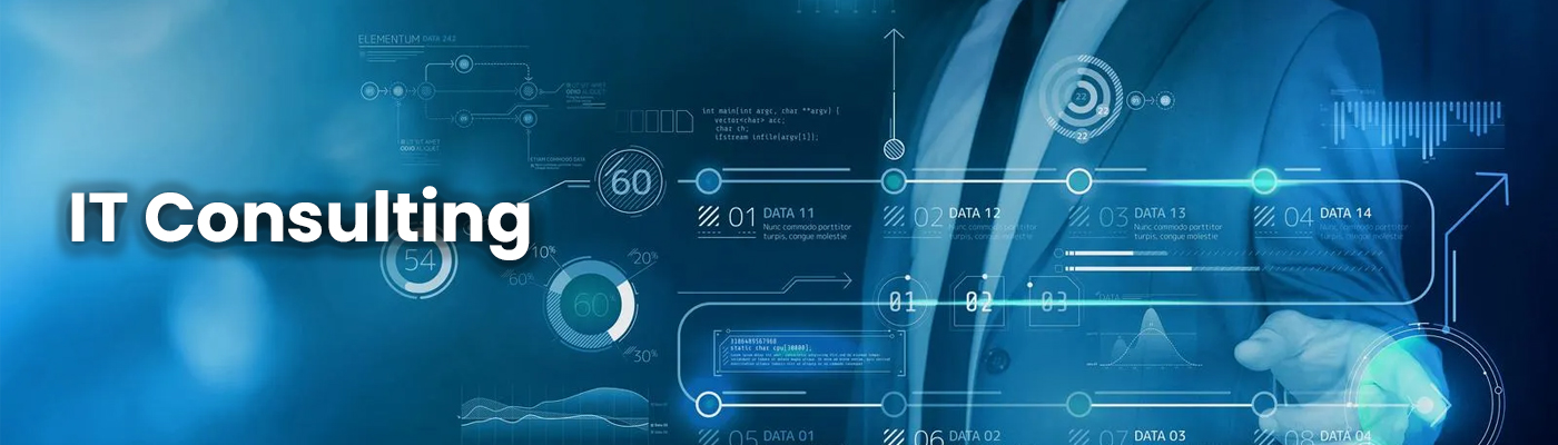 IT Consulting